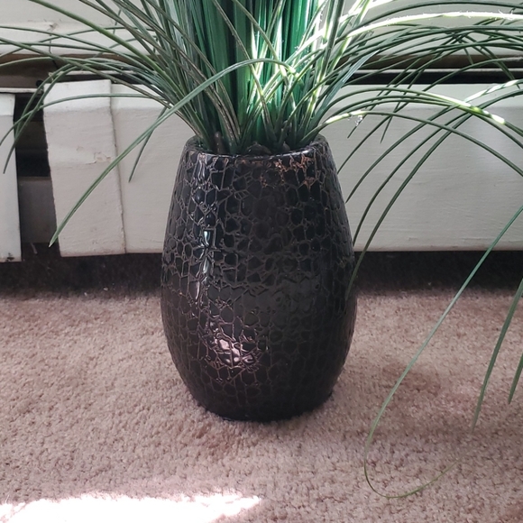Other - Decorative Indoor Plant